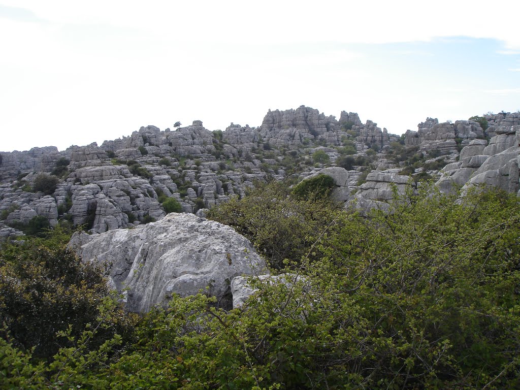 ≈ Torcal de Antequera, Málaga by mi_for