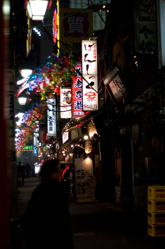 Shinjuku Alley by Jasja van Leeuwen