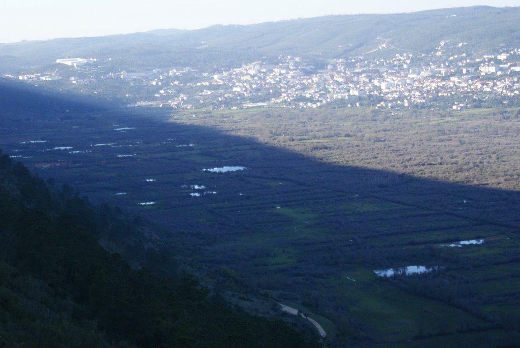 Vista da mata com algumas lagoas by telmo lemos