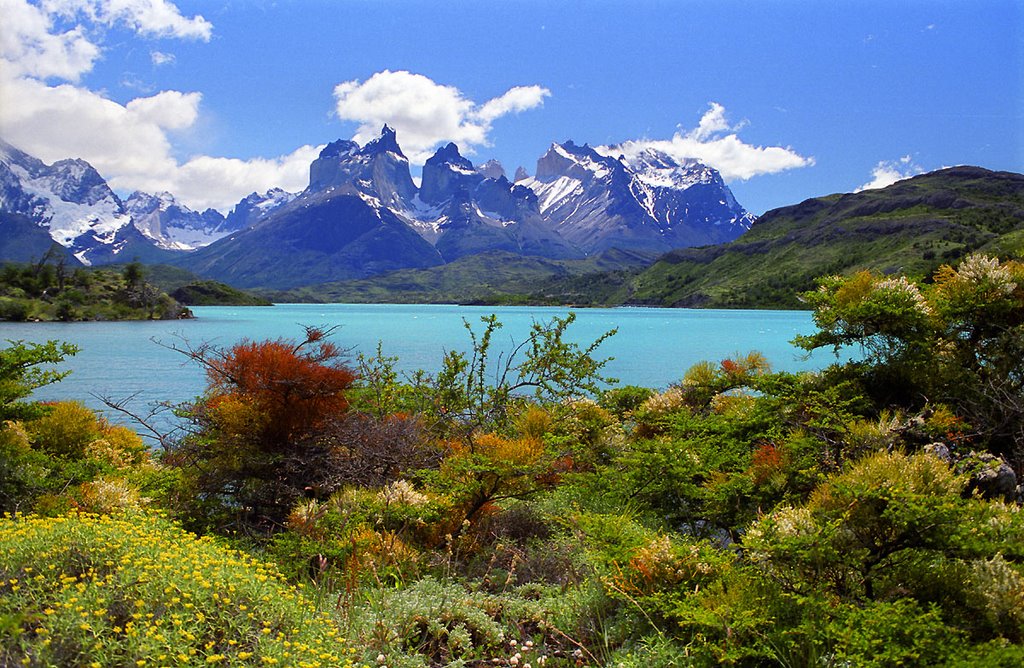 Los Guernos del Paine by Uwe Kazmaier