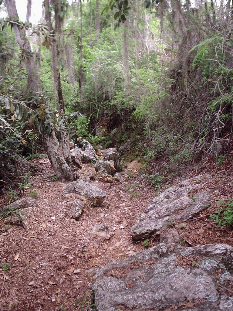 Caminho de Mairi - Ba para a Capela da Santa Cruz de Monte Alegre by Hermes Peixoto