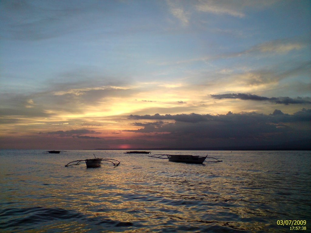 Apo Island by Steve ZHU