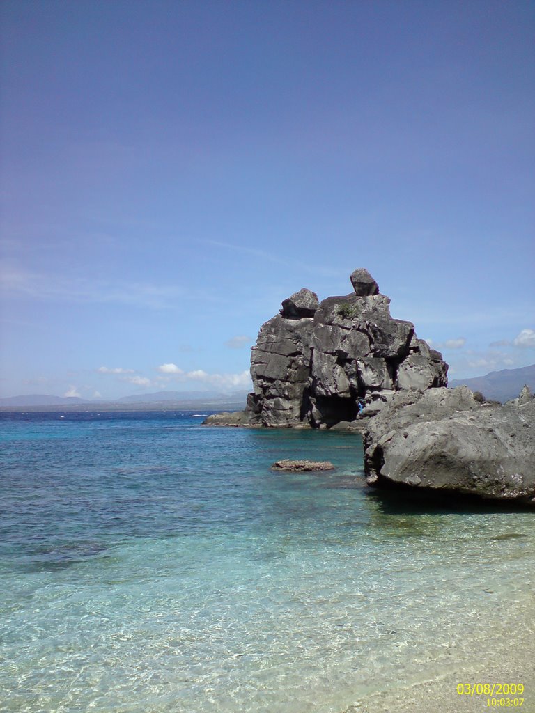 Apo Island by Steve ZHU