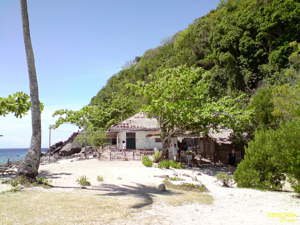 Apo Island by Steve ZHU