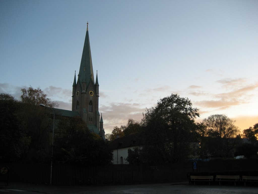 Linkoping Cattedrale by andreax74