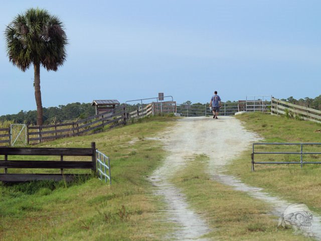 Hiker returning to the trailhead from the Oak Hammock Loop Trail by Sawman