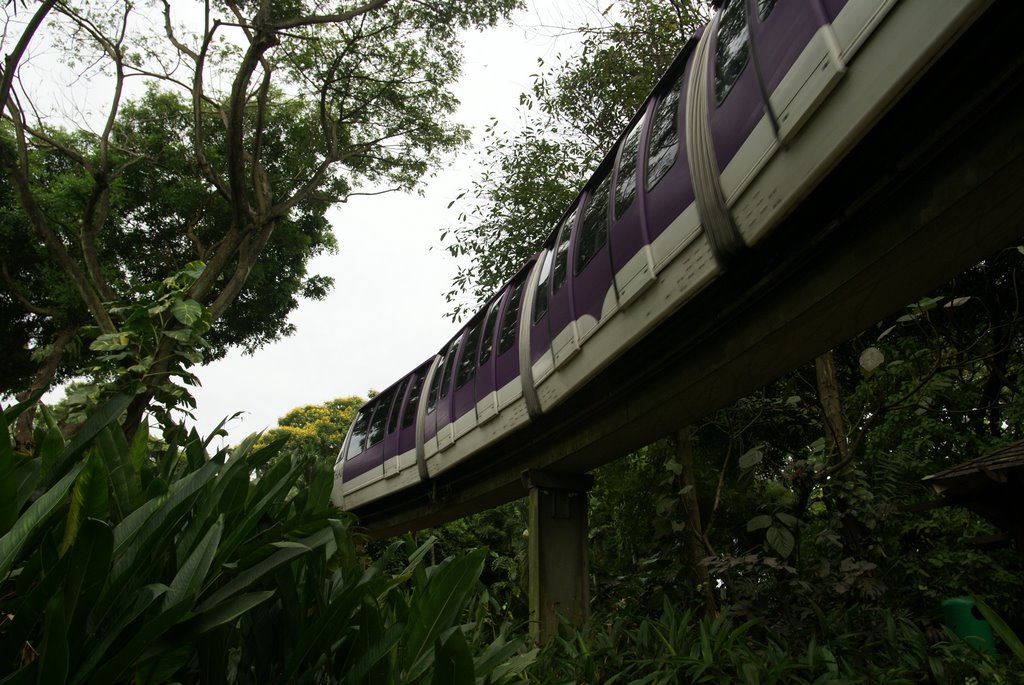 Jurong Bird Park - Singapore by Jakob Varming