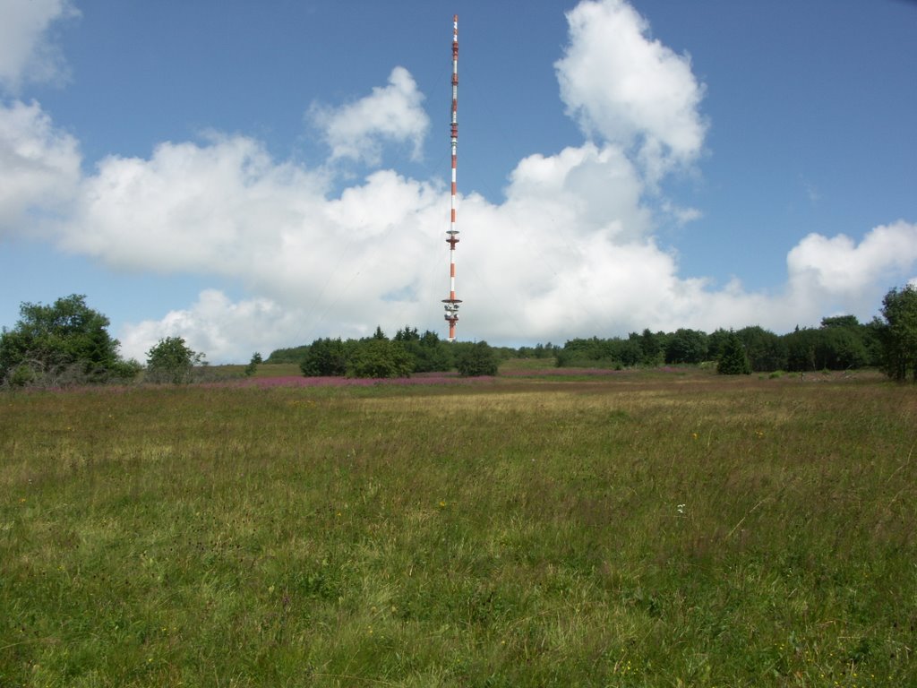 Am Heidelstein by Friwebi