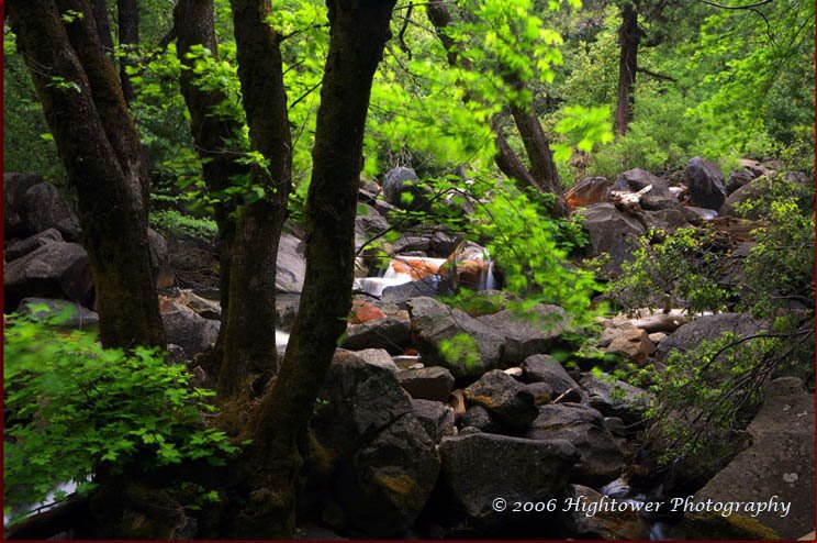 Below Bridelveil Falls, Yosemite National Park by hightovver