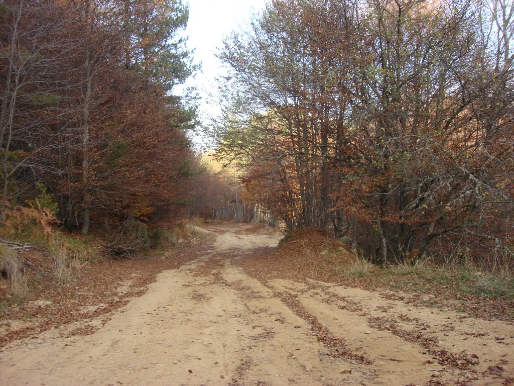 ROAD FOR THE BORDER (BG-GR ).1 by G.KEFALIDIS-REAL EST…