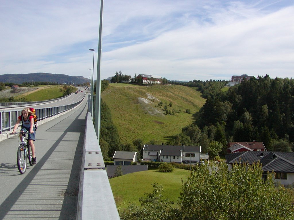 Trondheim, Bjørndalsbrua (bridge) facing Tonstad by invisboss