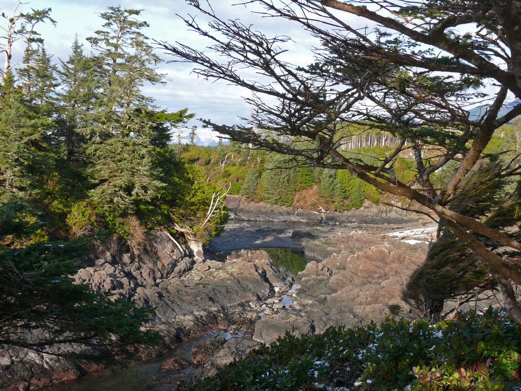 Viewpoint on wild pacific trail by leadfoot