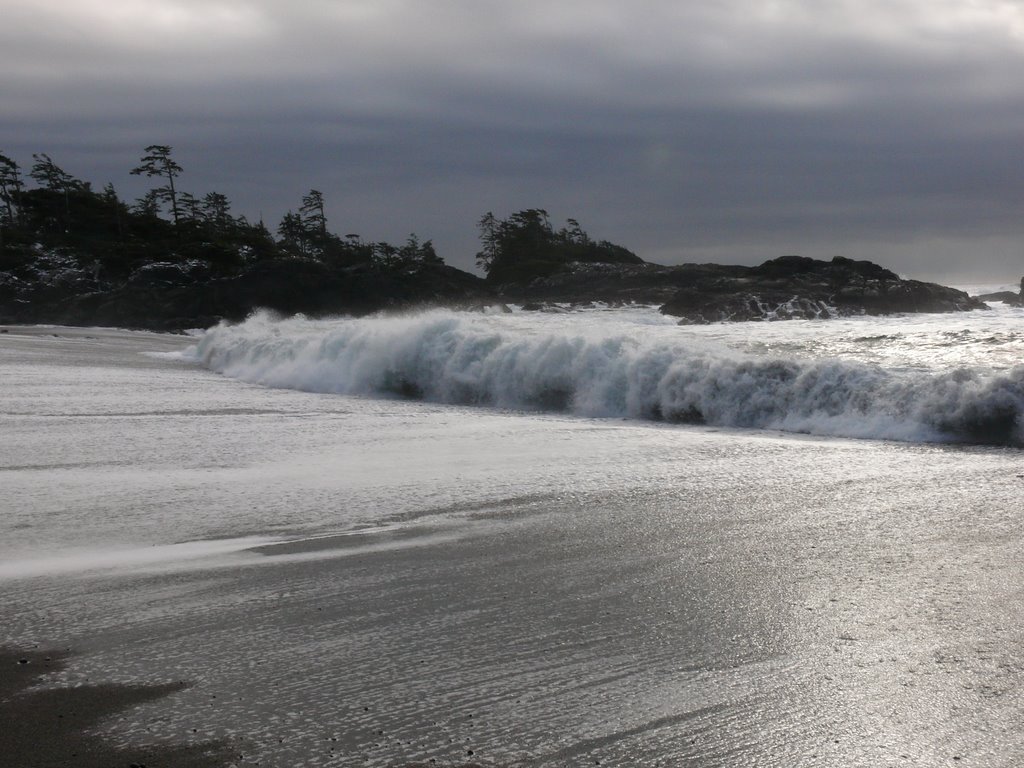 South beach surf by leadfoot