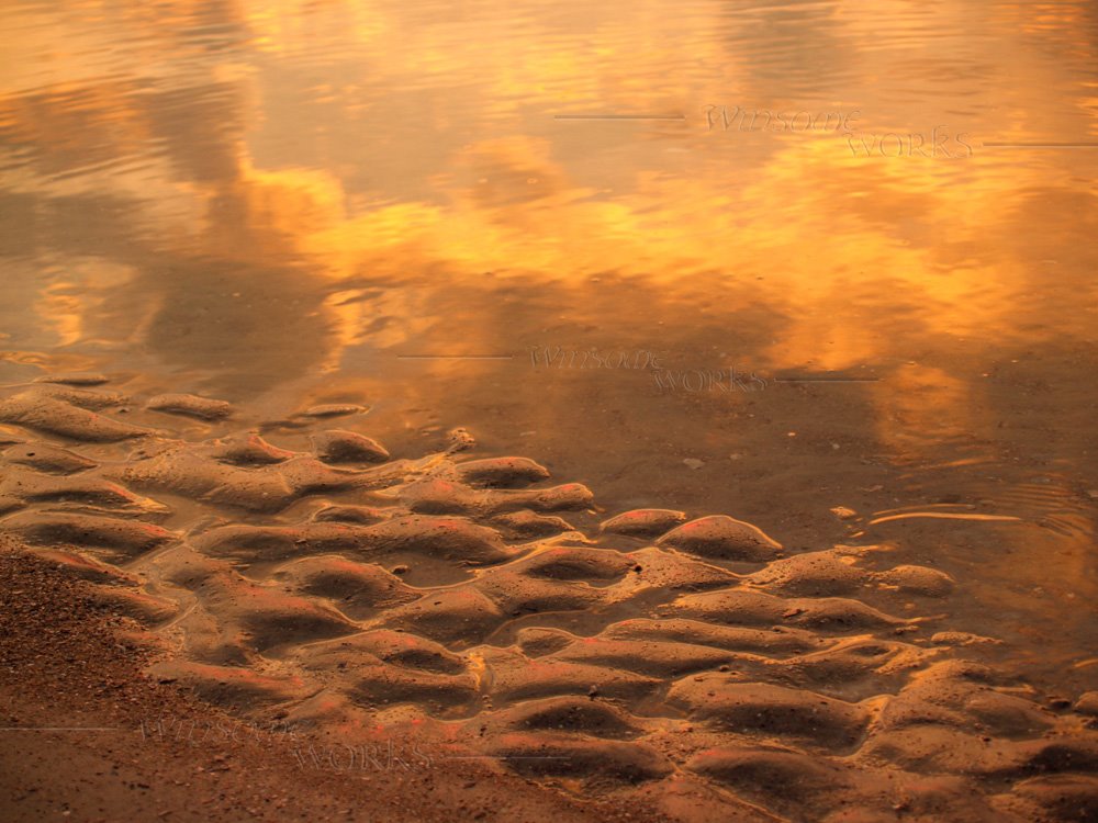 Sunrise Sand and Sea Ripples; Hunting Island State Park - South Carolina - USA by AnnaLisa Yoder - WinsomeWorks