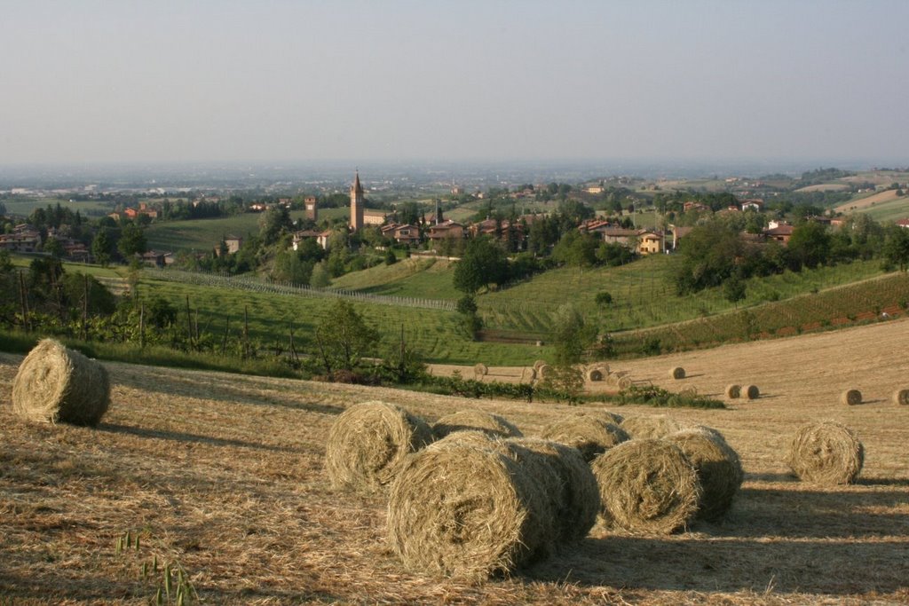 Balle di fieno, campi & levizzano by giuliof