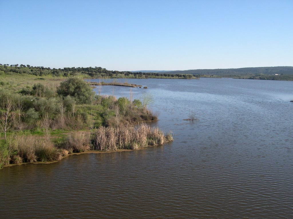 Pantano de los melonares. Almadén de la Plata by Pilar Roldán