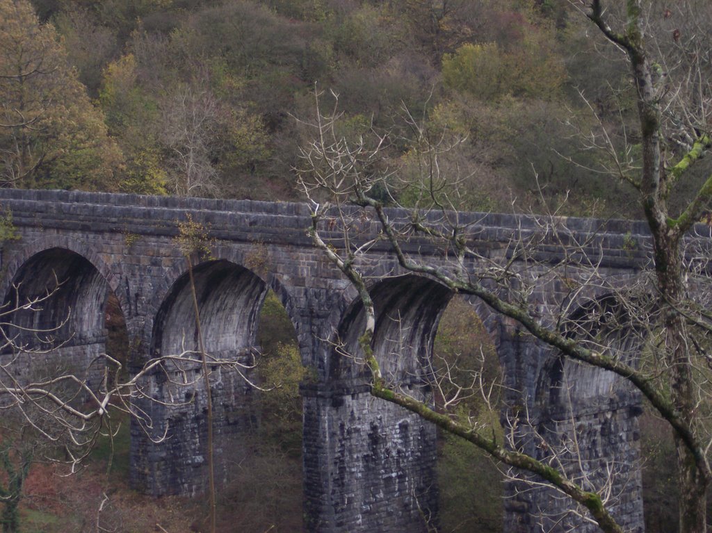 Old viaduct by barry nicks