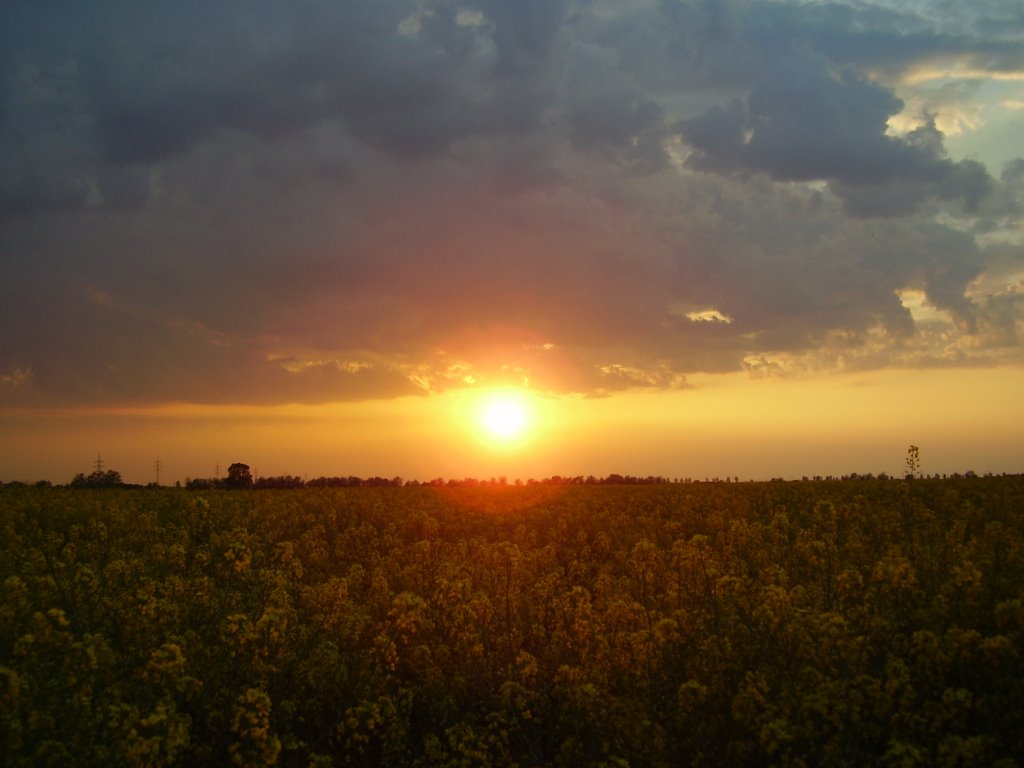 Besenyszög, 5071 Hungary by Vígh Tamás