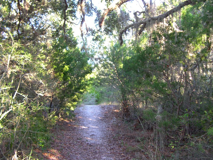 Shell Mound, Suwannee NWR by Karen Raley