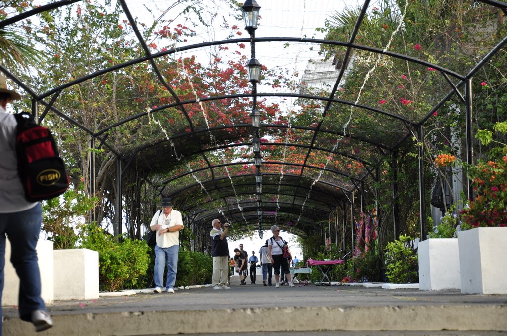 Paseo de las veraneras by csmirones