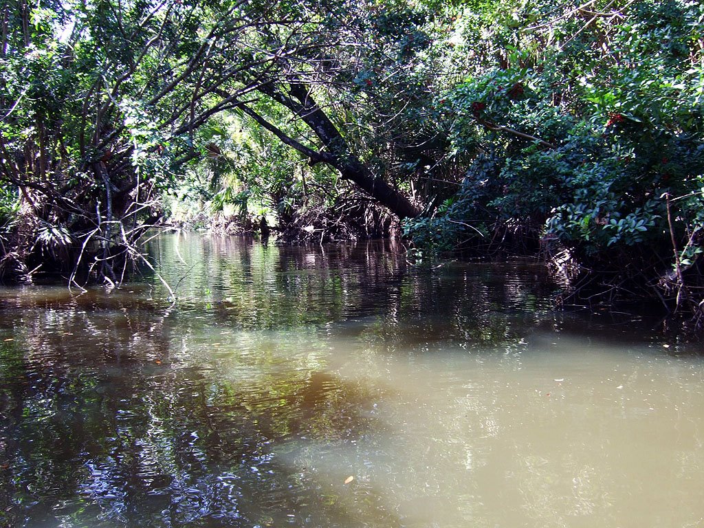 Crane Creek overhangs by Tom Choma