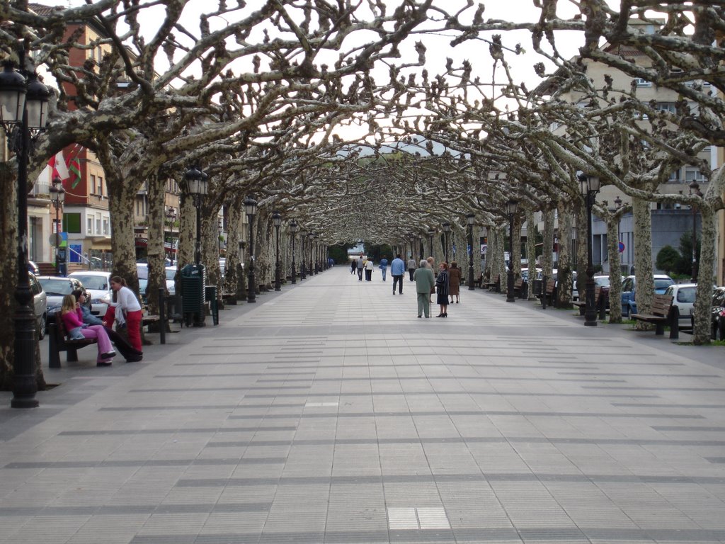 Avenida de España Torrelavega by anabel_luis