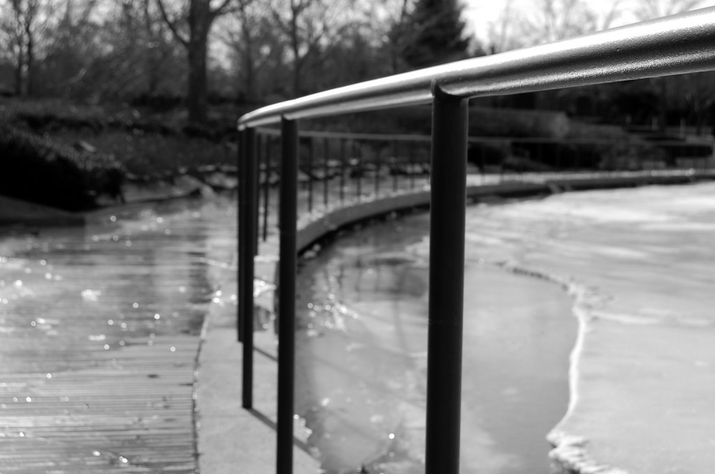 Frozen Pond at Botanic Gardens by Rockwellian