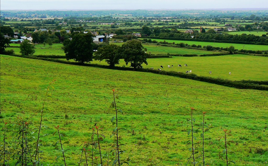 Farmland near Dauntsey Lock (W) by Brian B16