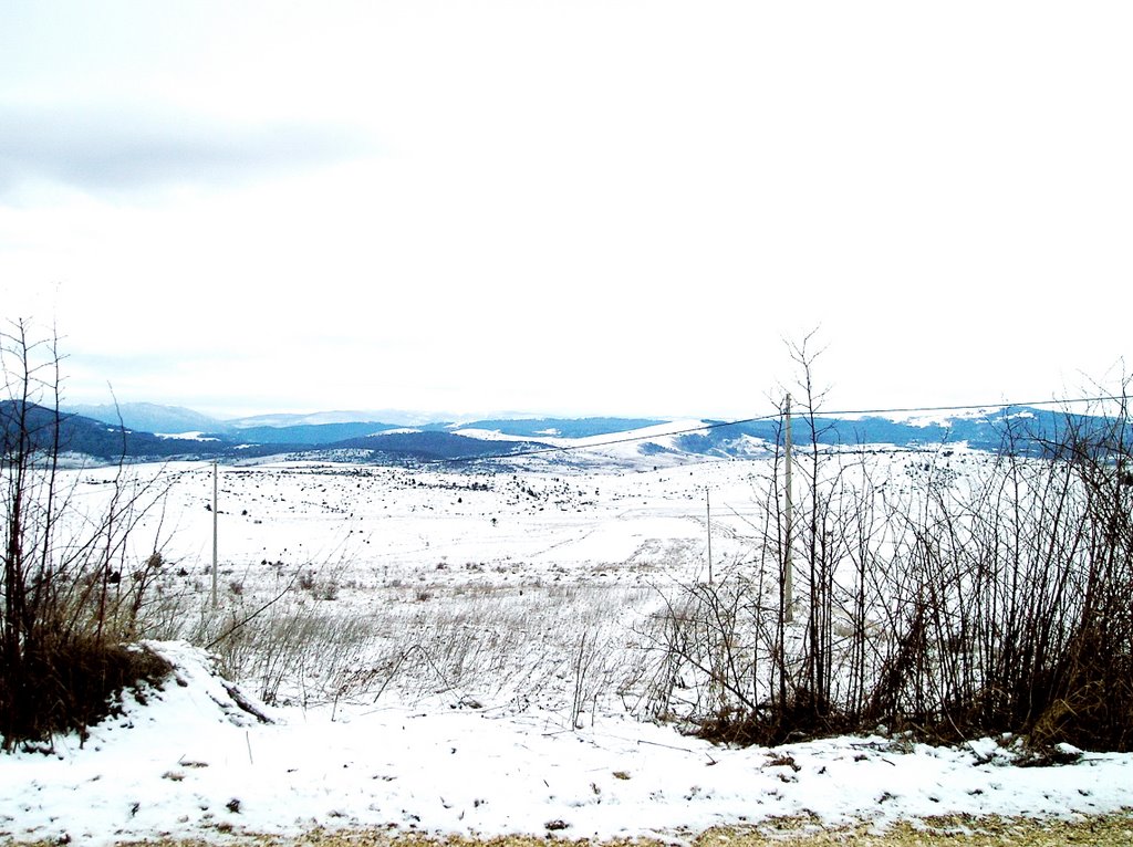 KUPREŠKO POLJE by Mustafa Mlivo