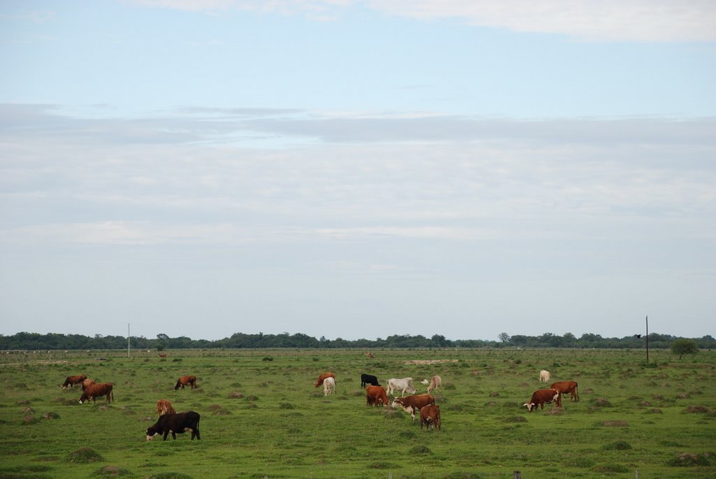 Campo cerca de Yahapé by Mbaé?