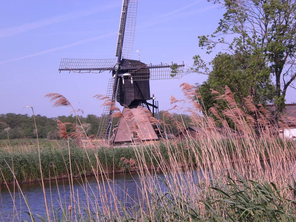 Molen aan Kromme Mijdrecht by Gerrit van Leeuwen