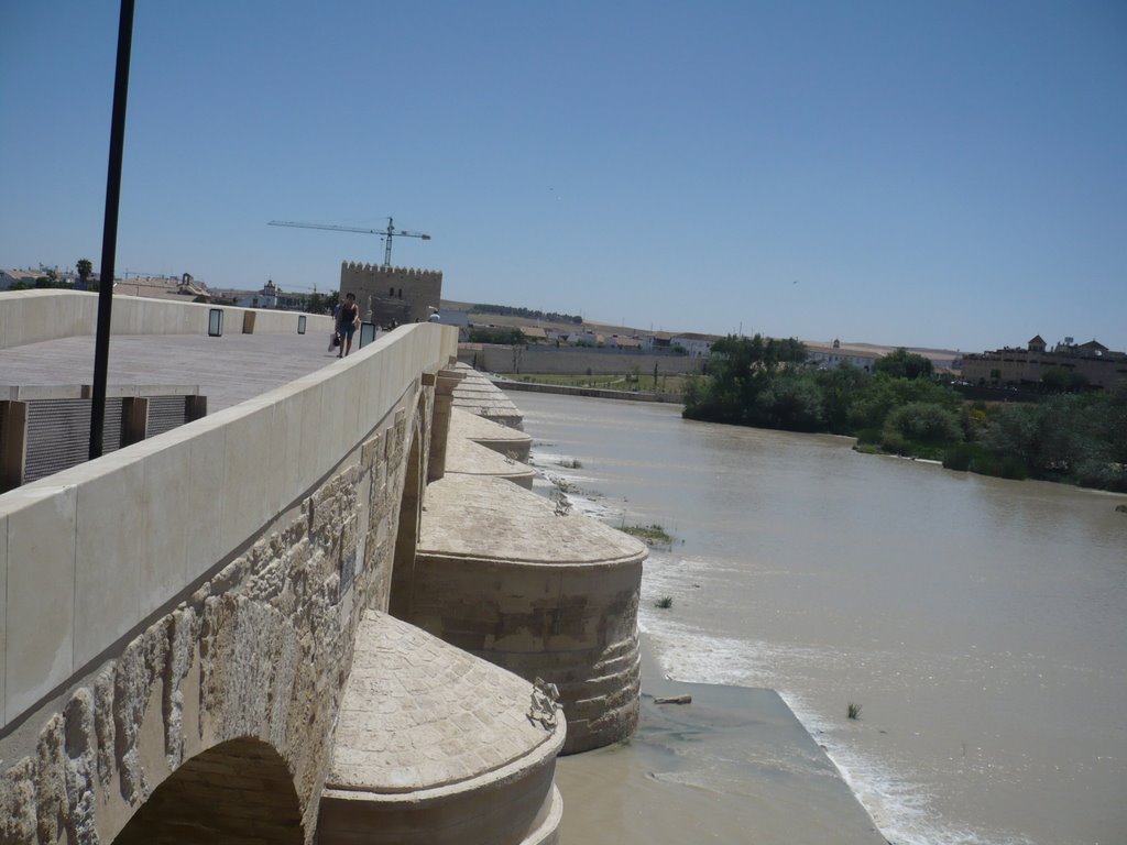 Puente Romano by stjopa