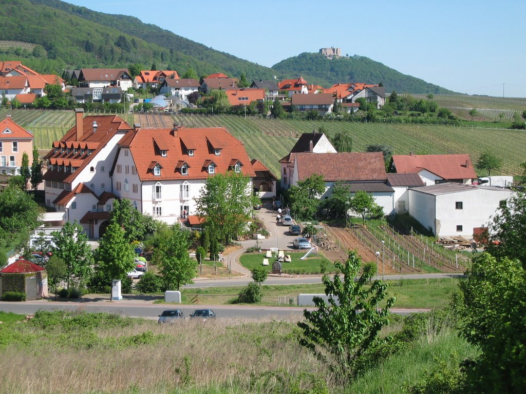 Blick über St. Martin zum Hambacher Schloss by Robby-BF