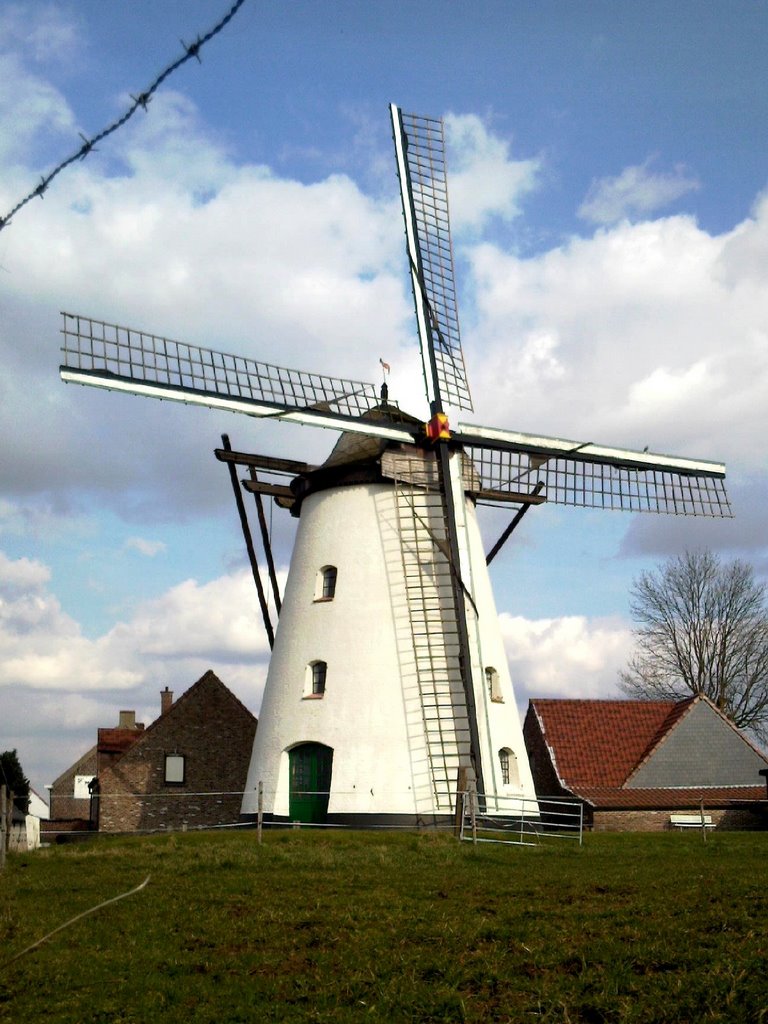 Molen " Ter Rijst " te Herzele . by Den Toerist