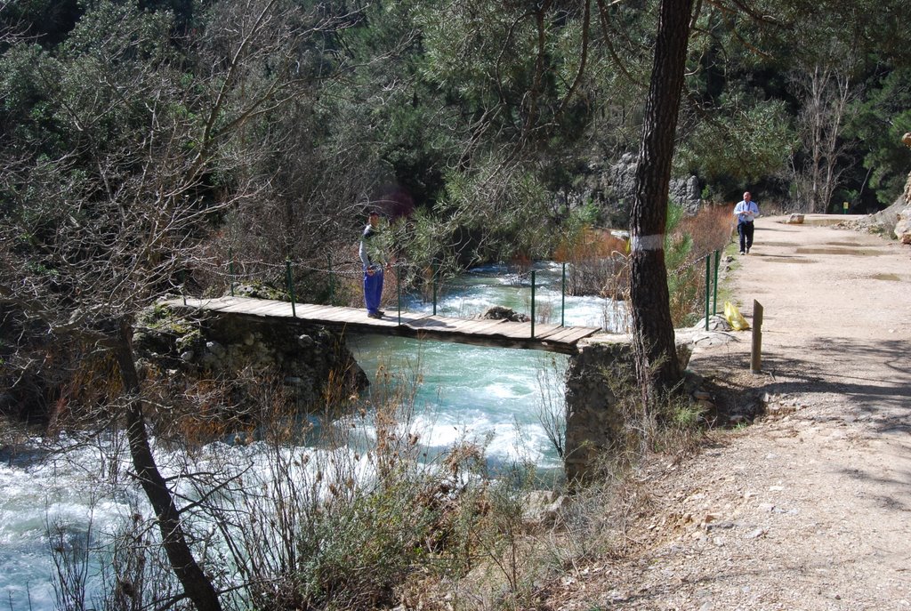 Puente en el rio borosa by Ricardo Fimia