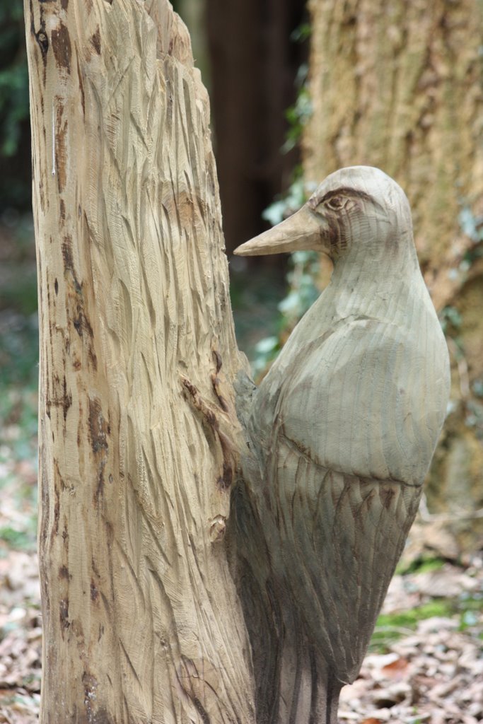 Woodpecker Sculpture, Thorpe Perrow Arboretum by Albert Griffiths