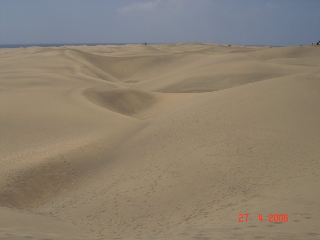 Dunas de Maspalomas by Andybel