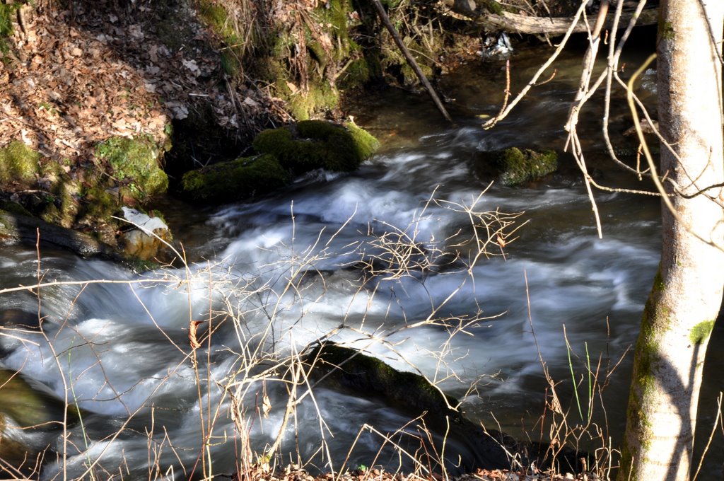 Wurlabach, little wild brook (6) by Andromeda/R. Stetsch…