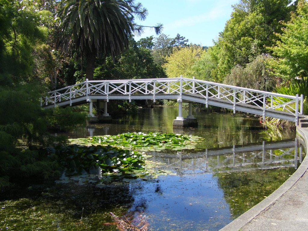 The Bridge in Queens Garden by Qiong Crosbie