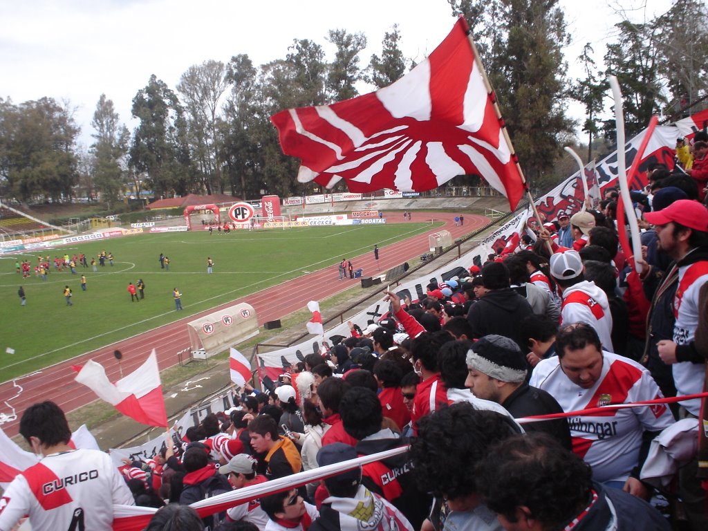 Estadio talca by zzzp