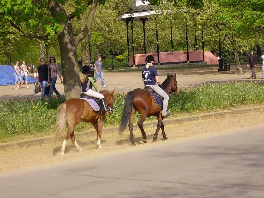 Hyde Park by Tóthné Magdi