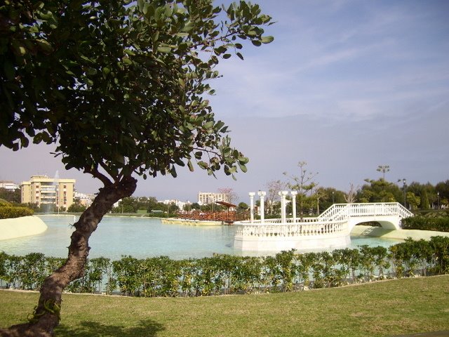 Lake in Baterie Parque by Anne Warmington