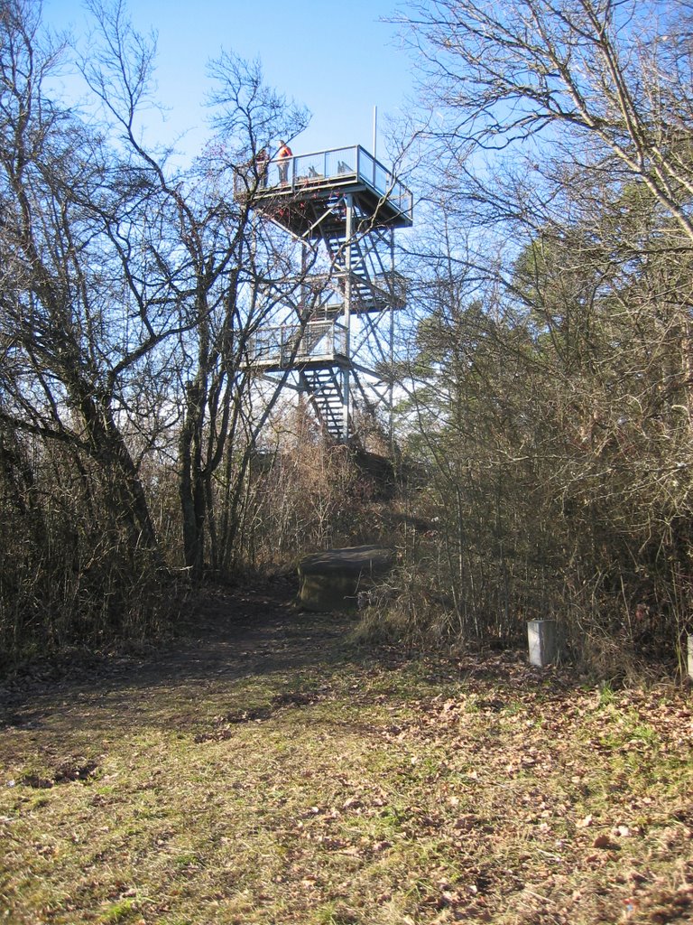 Steinenbergturm by partyzion