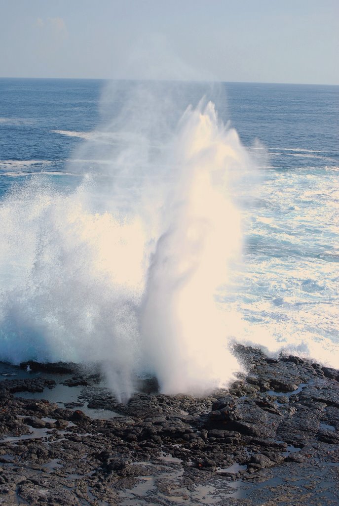 Blowhole, Punta Suarez, Isla Espanola. Waves rushing into a sea cave compress air, then eject a water-air mixture through holes in the cave roof. Called "blow holes" or spouting horns, they are a common feature along rocky coastlines. by Jim Nieland