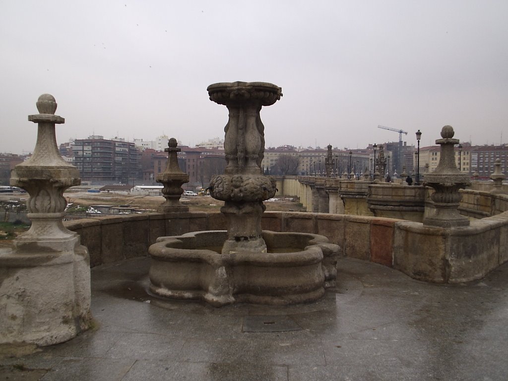 Fuente de Puente de Toledo by Cristiano Esmite