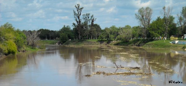 Creciente en río Gualeguay by Nicolás Garmendia