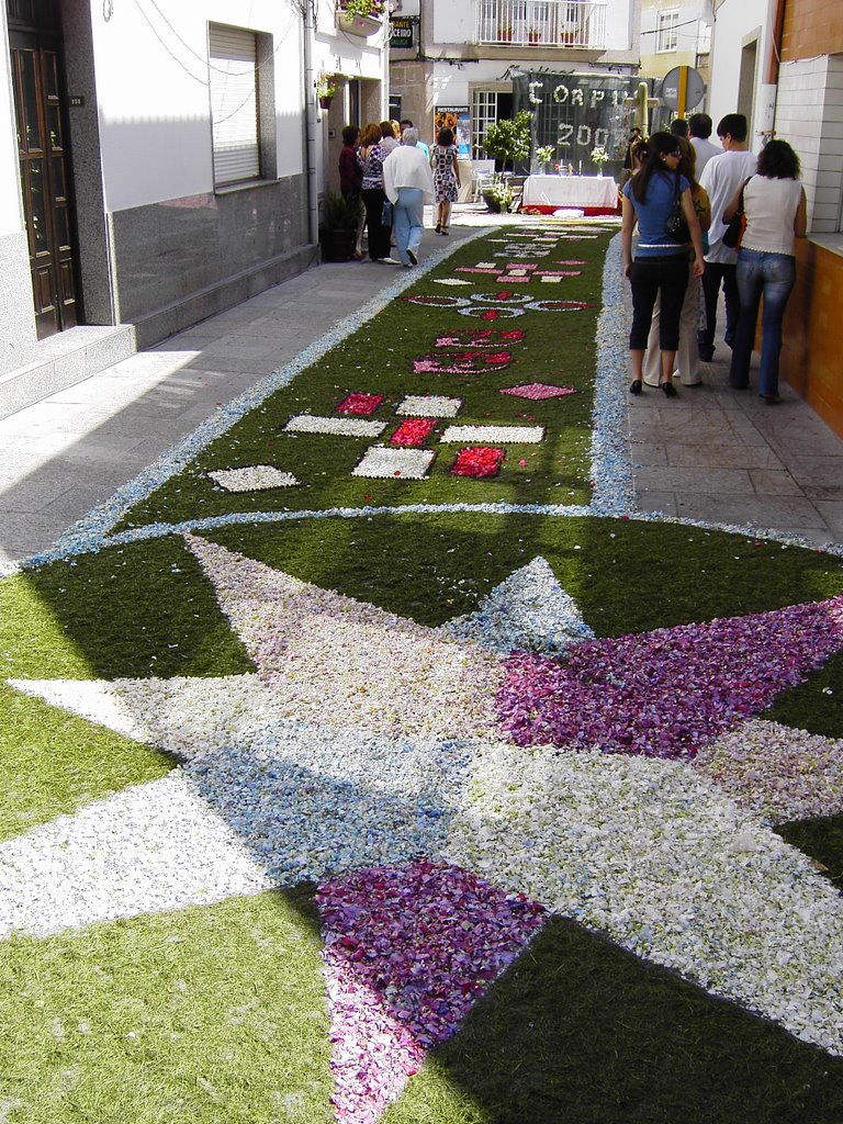 Alfombra peralto by Fernando Besada Cost…