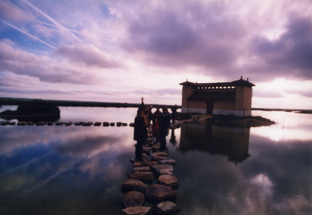 Lagunas de Villafafila by cesar007