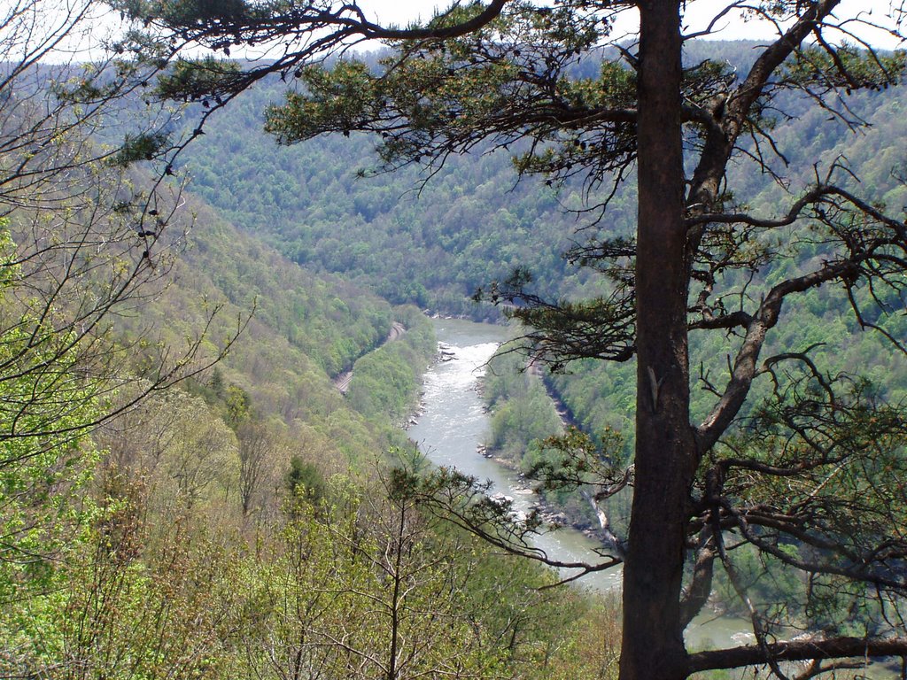 New River Gorge by mac4run