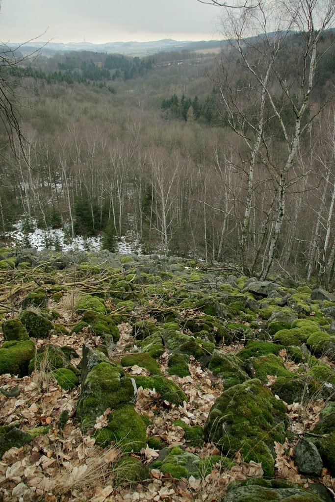 Nad Bobří soutěskou ( Above the Beaver's pass ) by petrs111